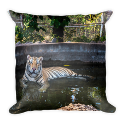 Tiger Pool