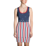 Make America Great with Fabulous Dresses (Faded Stars) - Teefuse
