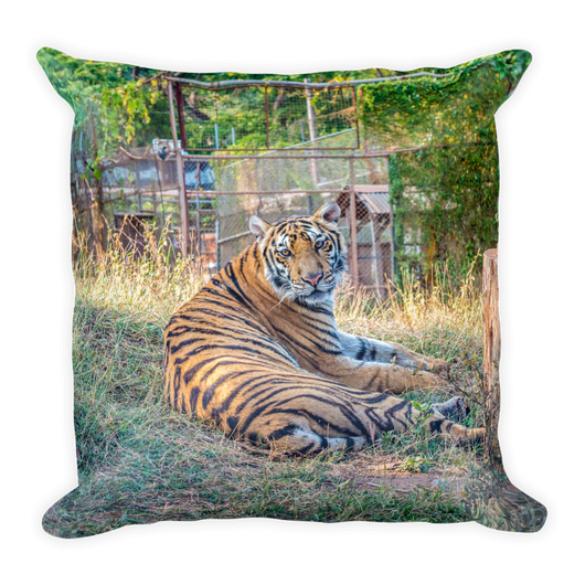 Tiger's Pillow