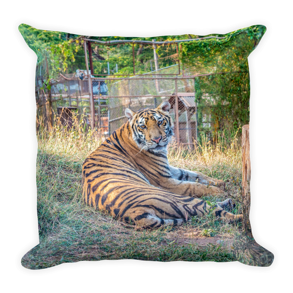 Tiger's Pillow